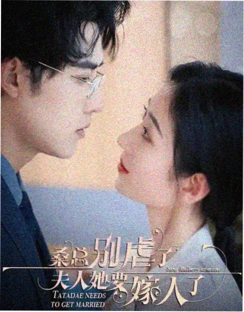 喜相逢,电视剧